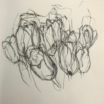 Bouquet of Tulips, Ink Drawing, 11 x 8.5