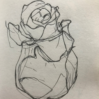 Budding Rose, Ink Drawing, 8.5 x 5.5